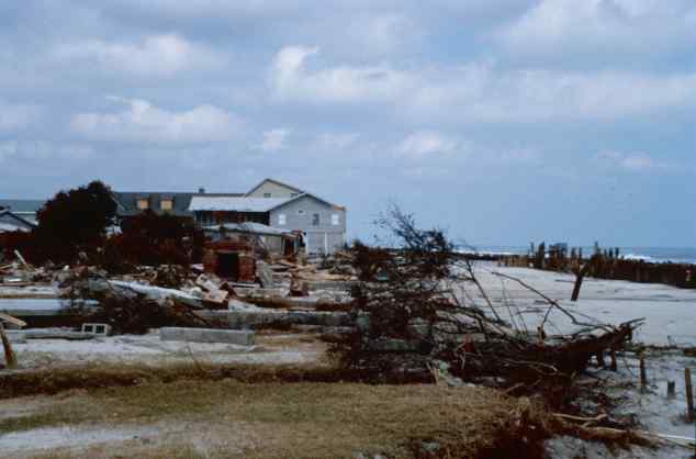 Pawleys Island (Wes Tyler)